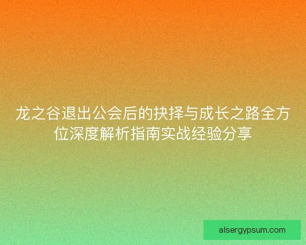 龙之谷退出公会后的抉择与成长之路全方位深度解析指南实战经验分享